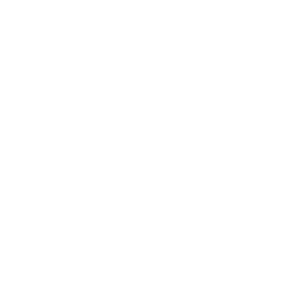 https://www.sv-erlenbach.de/wp-content/uploads/2024/02/Jan-Wöber-white-high-res-320x320.png
