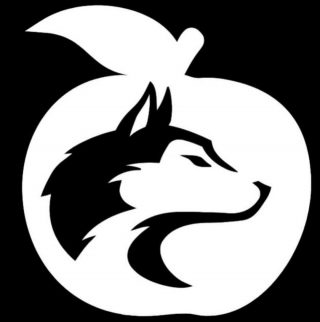 https://www.sv-erlenbach.de/wp-content/uploads/2024/02/oebblwoiwolf_logo-1-320x322.jpeg